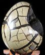 Septarian Dragon Egg Geode - Black Crystals #48004-2
